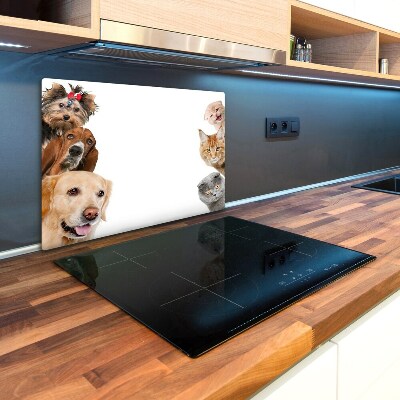 Kuchynská doska zo skla Psi a mačky