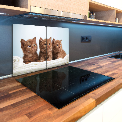 Kuchynská doska zo skla Mačka na uteráku