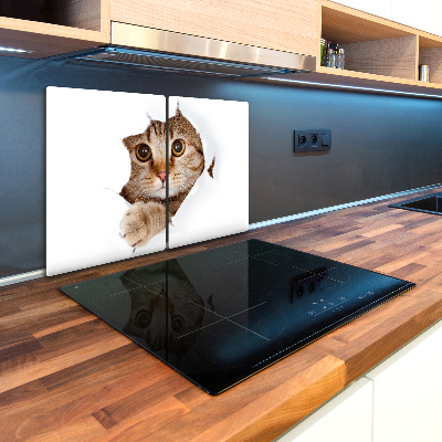 Kuchynská doska zo skla Mačka