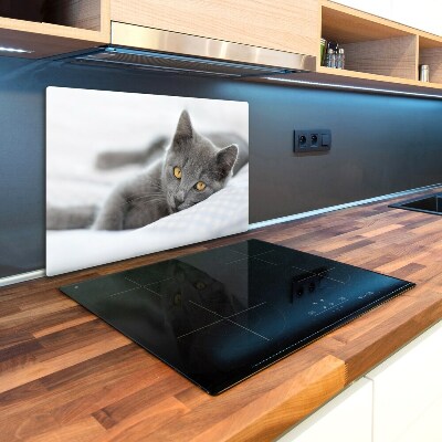 Kuchynská doska zo skla Sivá mačka