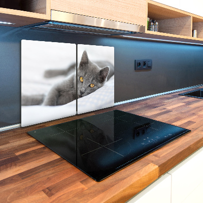 Kuchynská doska zo skla Sivá mačka