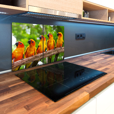 Kuchynská doska zo skla Papagáje na vetve