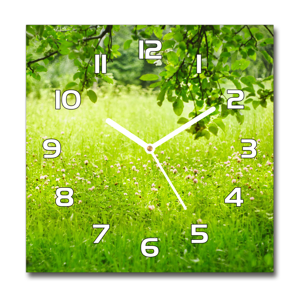 Sklenené nástenné hodiny štvorec Zelená lúka