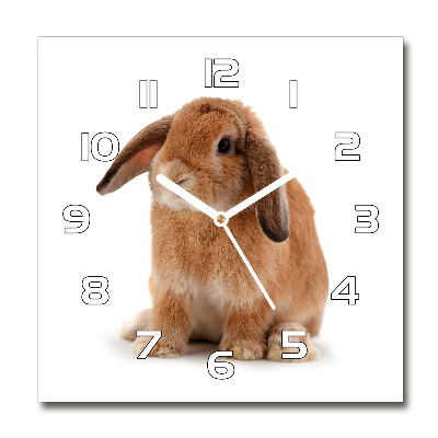 Sklenené hodiny okrúhle Červený králik