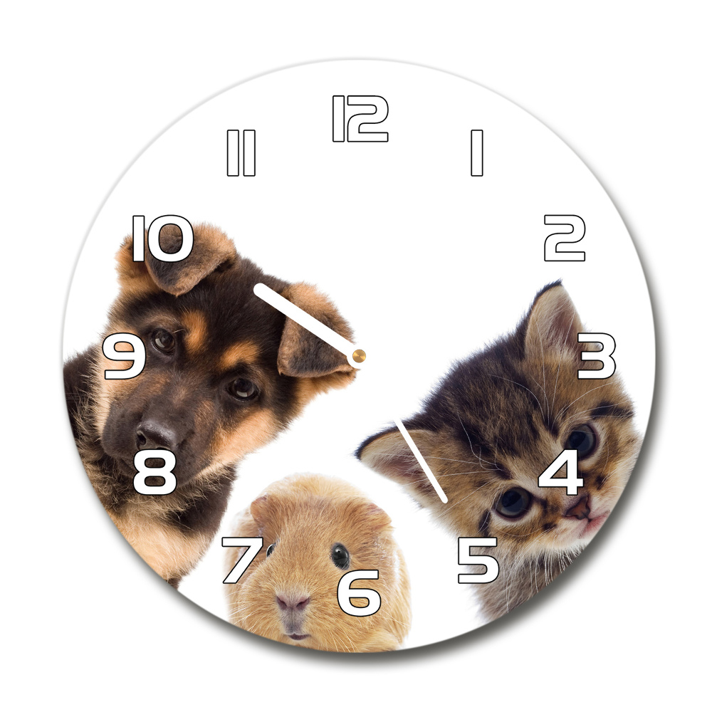 Sklenené hodiny okrúhle Domáce zvieratá