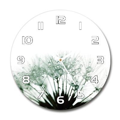 Sklenené hodiny okrúhle Semená púpavy
