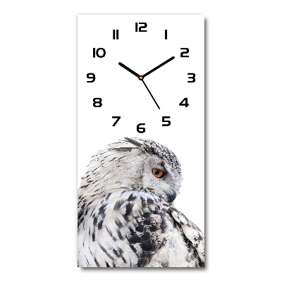 Moderné hodiny nástenné Biela sova