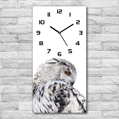 Moderné hodiny nástenné Biela sova