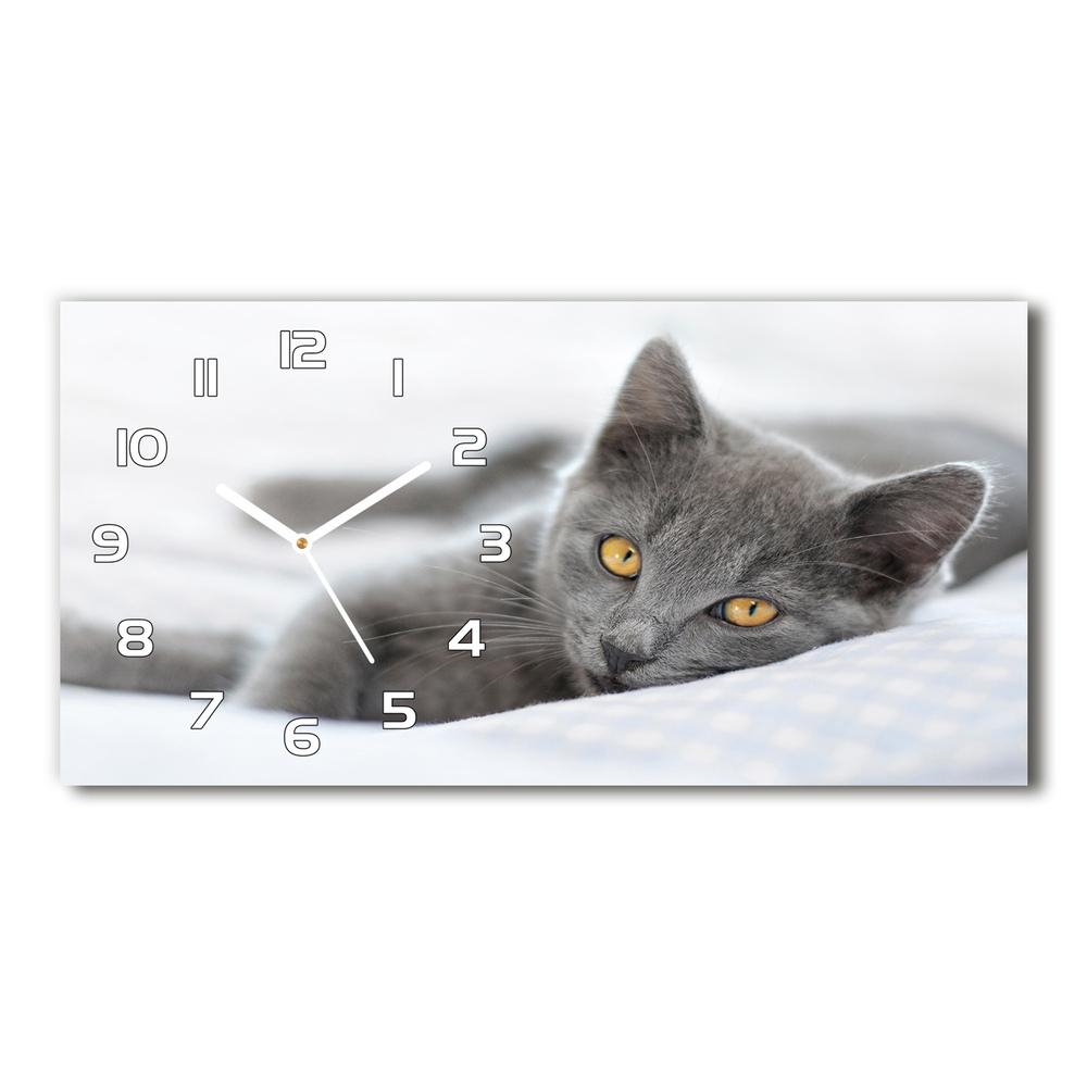 Vodorovné Moderné sklenené hodiny na stenu Sivá mačka