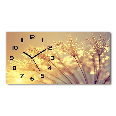 Vodorovné Sklenené hodiny na stenu Semená púpavy