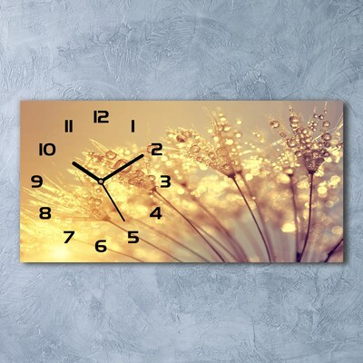 Vodorovné Sklenené hodiny na stenu Semená púpavy