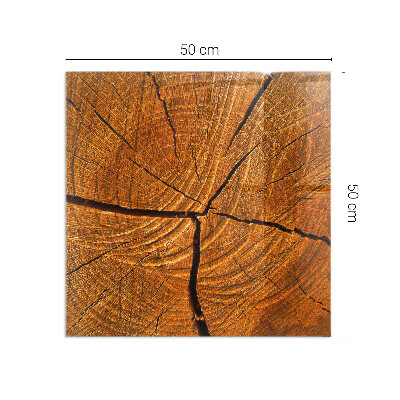 Obdĺžniková sklenená podložka pod krb Drevo v priereze s prirodzenou textúrou