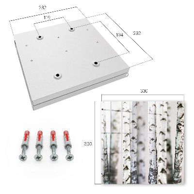 Skrinka na kľúče Brezové kmene