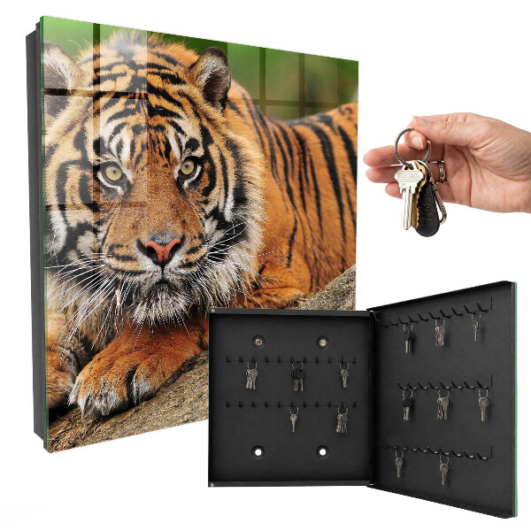 Box na kľúče Tiger odpočíva