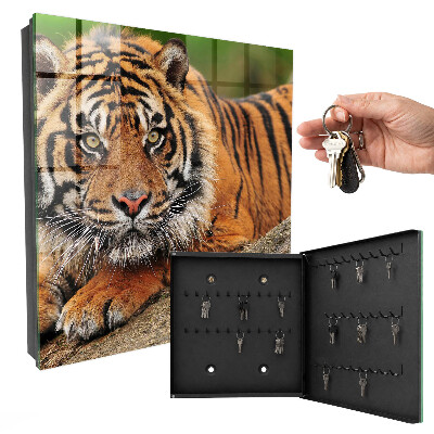 Box na kľúče Tiger odpočíva