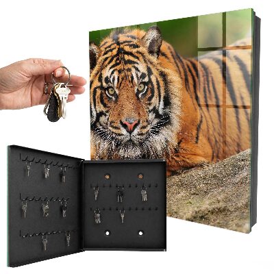 Box na kľúče Tiger odpočíva
