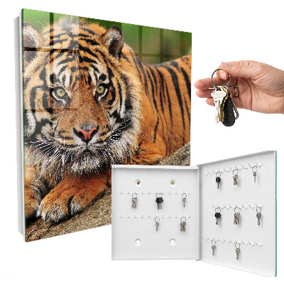 Box na kľúče Tiger odpočíva