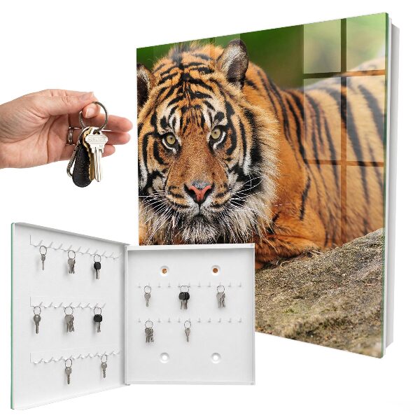 Box na kľúče Tiger odpočíva