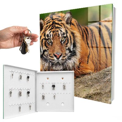 Box na kľúče Tiger odpočíva
