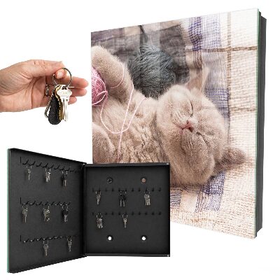 Box na kľúče Spiace mačiatko