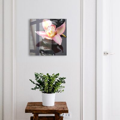 Box na kľúče Orchideové kamene
