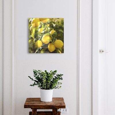 Skrinka na kľúče Šťavnatá sviežosť