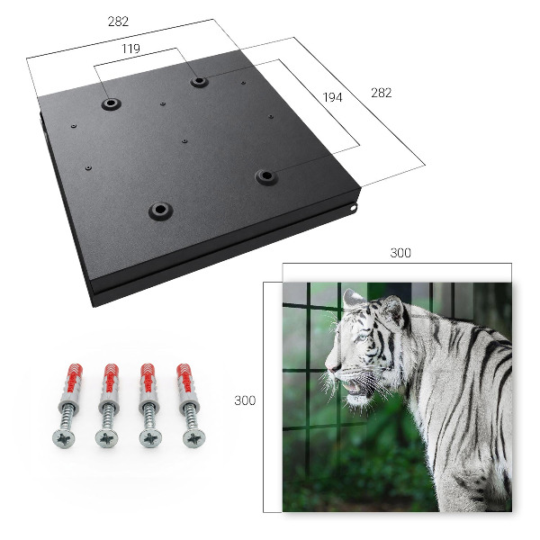 Box na kľúče Biely tiger