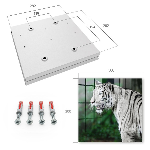 Box na kľúče Biely tiger