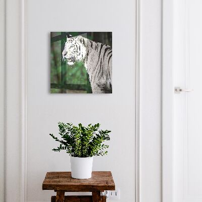 Box na kľúče Biely tiger
