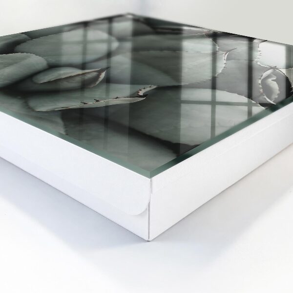 Box na kľúče Elegancia rastlín
