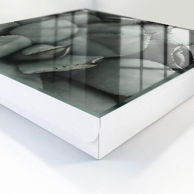 Box na kľúče Elegancia rastlín