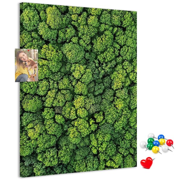 Korková nástenka na stenu Zelený les z vtáčej perspektívy