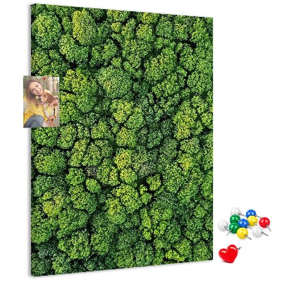 Korková nástenka na stenu Zelený les z vtáčej perspektívy