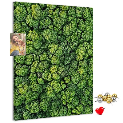 Korková nástenka na stenu Zelený les z vtáčej perspektívy