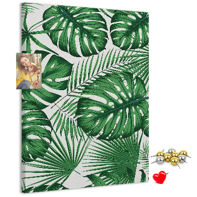 Korková nástenka Listy monstery na svetlom pozadí