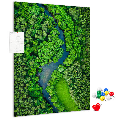 Korková nástenka na stenu Zelená krajina s kľukatou riekou