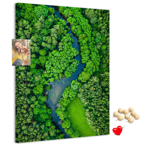 Korková nástenka na stenu Zelená krajina s kľukatou riekou