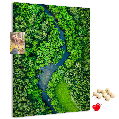 Korková nástenka na stenu Zelená krajina s kľukatou riekou