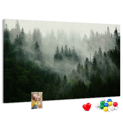 Korková tabuľa Hmlistý les s tajomnou atmosférou.