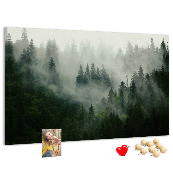Korková tabuľa Hmlistý les s tajomnou atmosférou.