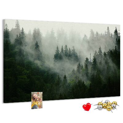 Korková tabuľa Hmlistý les s tajomnou atmosférou.