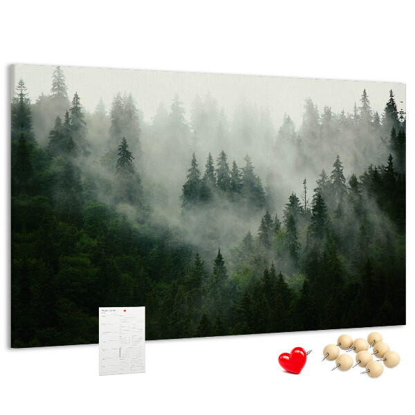Korková tabuľa Hmlistý les s tajomnou atmosférou.