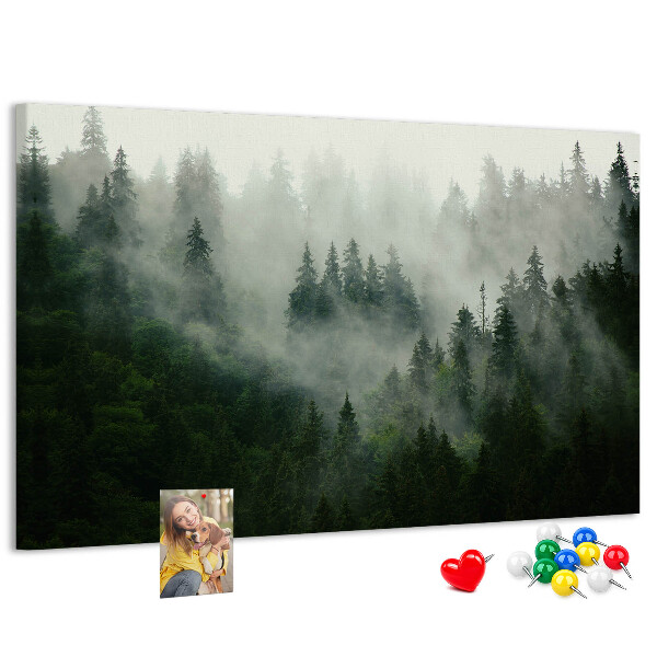 Korková tabuľa Hmlistý les s tajomnou atmosférou.