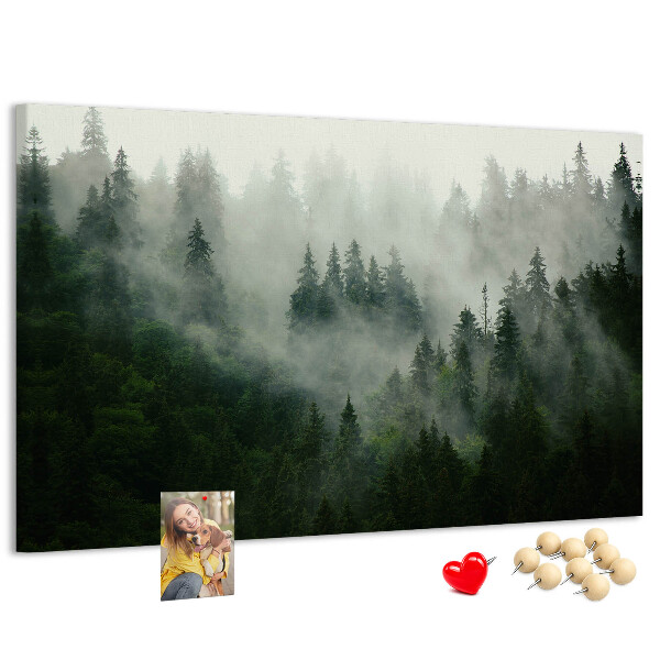 Korková tabuľa Hmlistý les s tajomnou atmosférou.