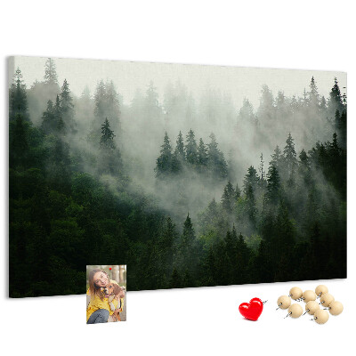 Korková tabuľa Hmlistý les s tajomnou atmosférou.