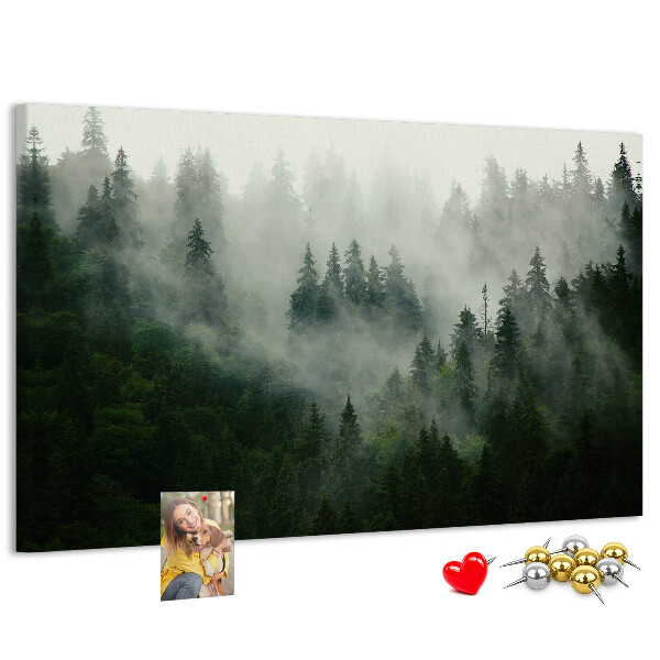 Korková tabuľa Hmlistý les s tajomnou atmosférou.