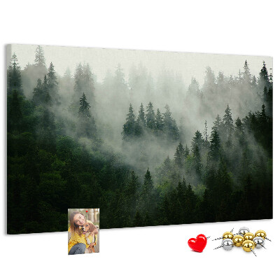 Korková tabuľa Hmlistý les s tajomnou atmosférou.