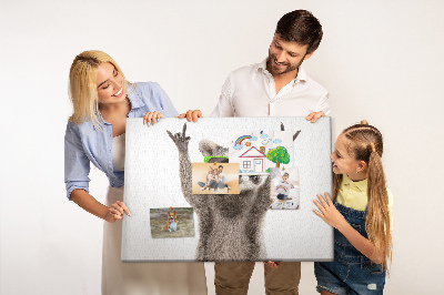 Korková tabuľa Šialený mýval so zelenými okuliarmi