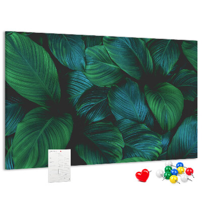 Nástenka Tropické listy na tmavom pozadí