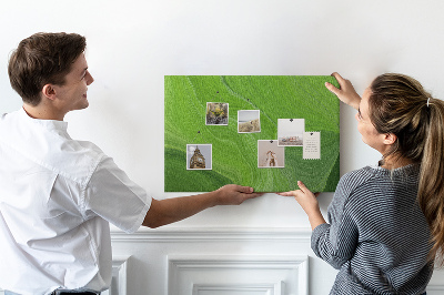 Korková nástenka na stenu Zelené vlny s jemnými líniami.